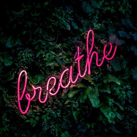 neon-sign-for-landscape