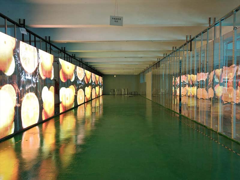 Figure 1 - Transparent LED screen